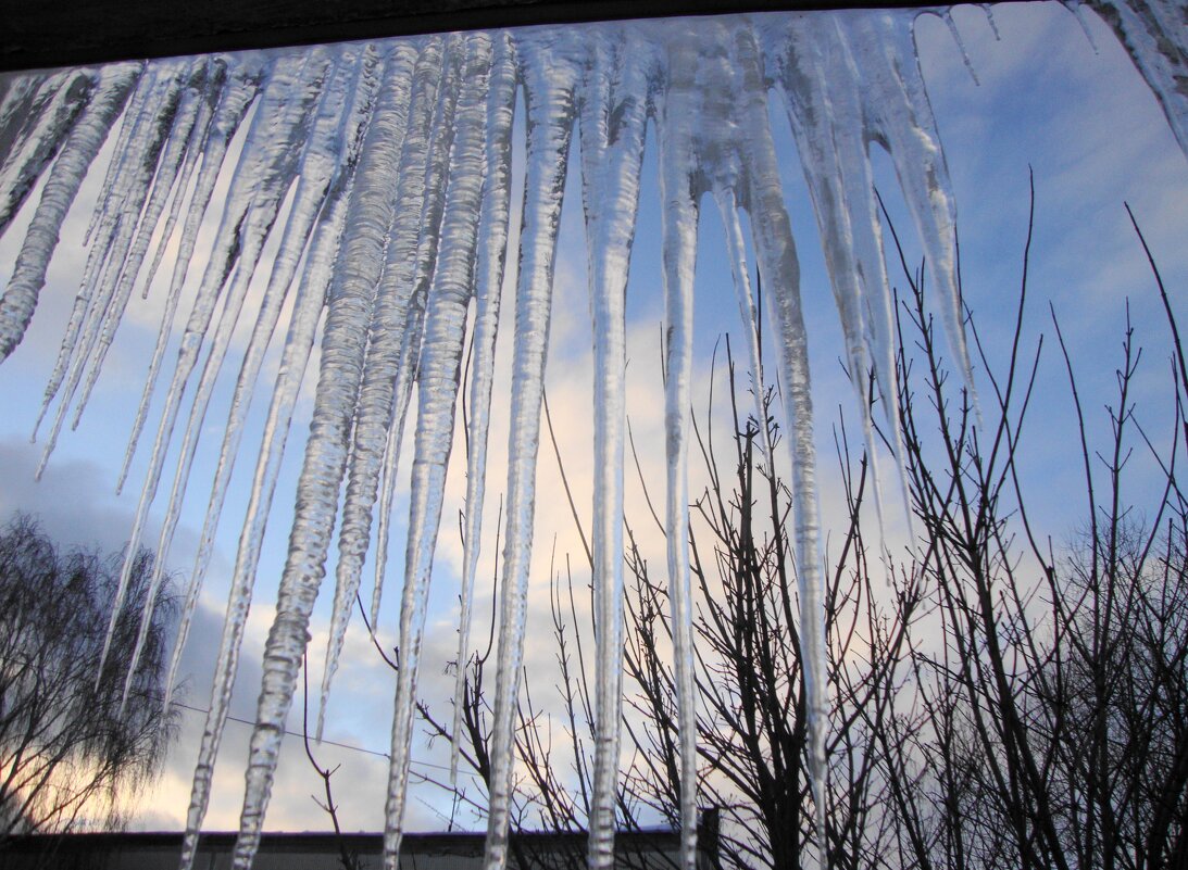 всяко бывало в январе... - Галина Флора всяко бывало в январе... - Галина Флора