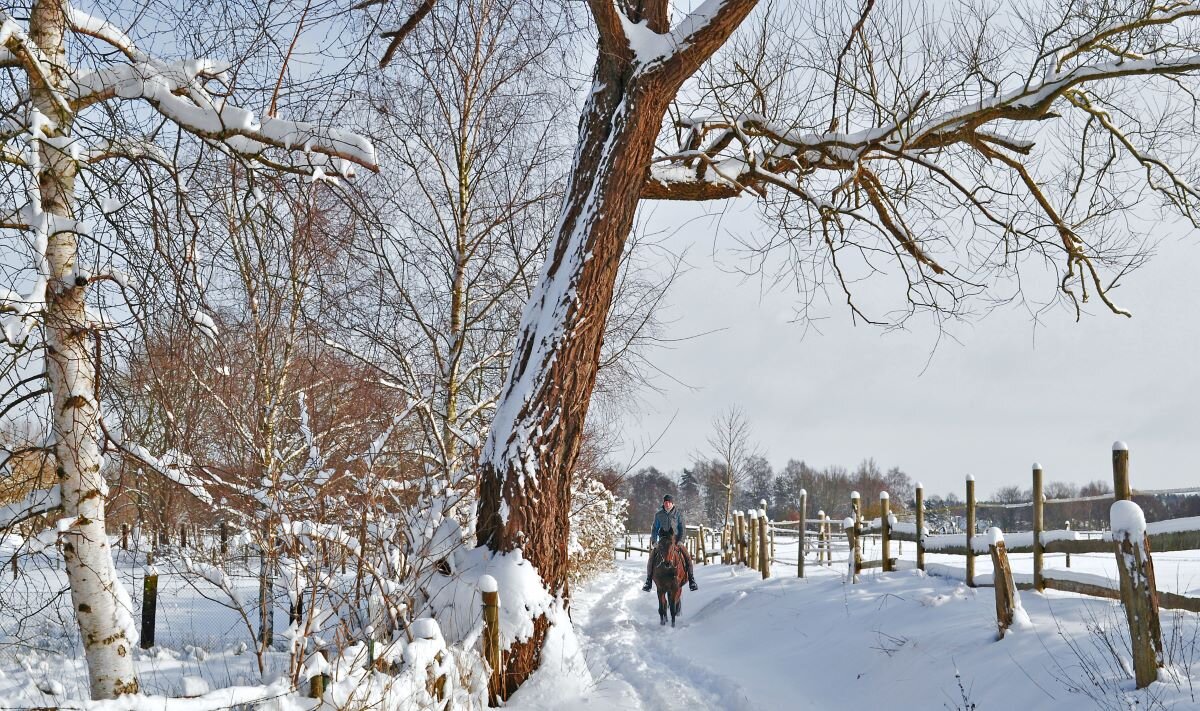 Была зима... - Галина Шеина-Мюльдорфер