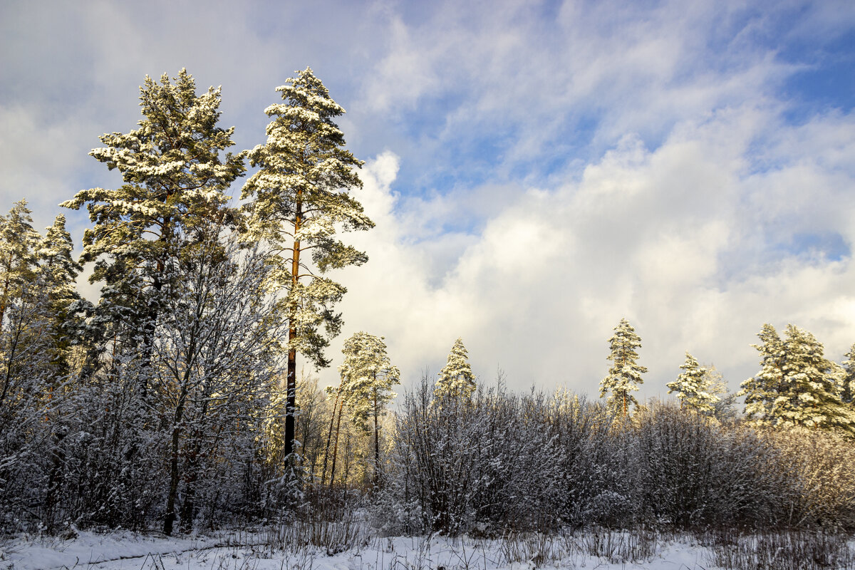 .. - оксана .. - оксана
