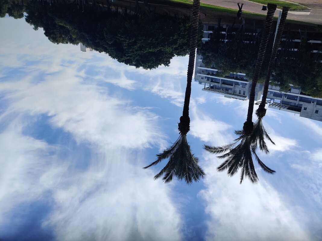 " - Светлана Хращевская " - Светлана Хращевская