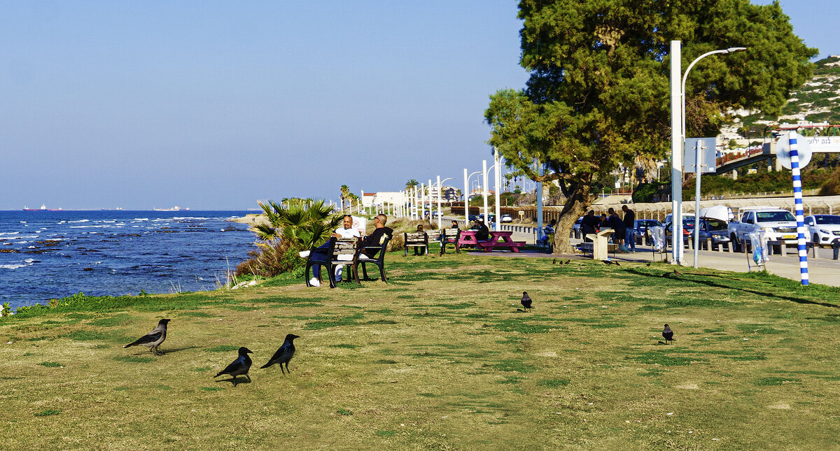 Выходной день - Эмиль Выходной день - Эмиль