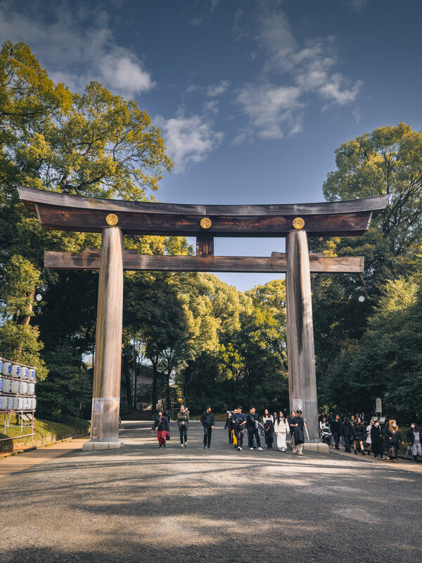 Токио. Святилище Мэйдзи Дзингу - Дмитрий 