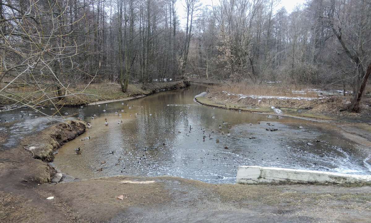 р. Чурилиха - Сергей Лындин р. Чурилиха - Сергей Лындин