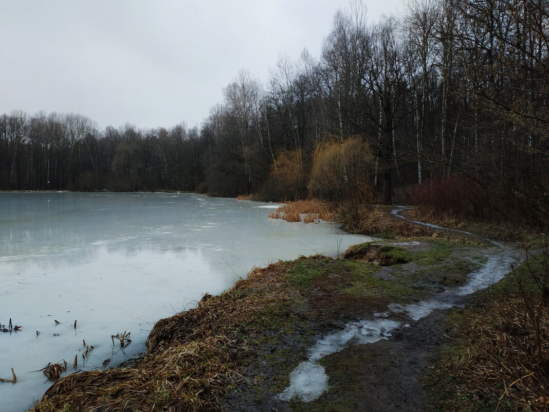 Зима по-московски - Андрей Лукьянов