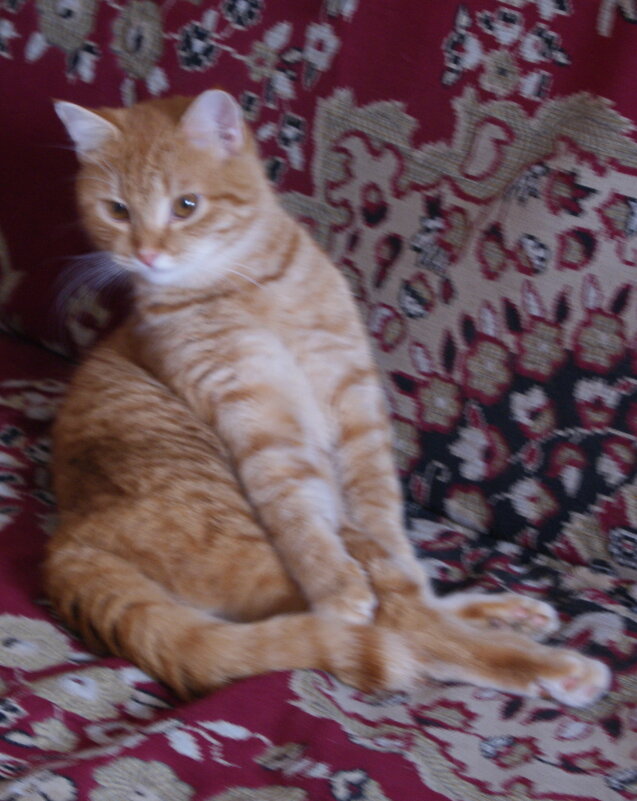 Посиделки. - сергей ермошкин Посиделки. - сергей ермошкин