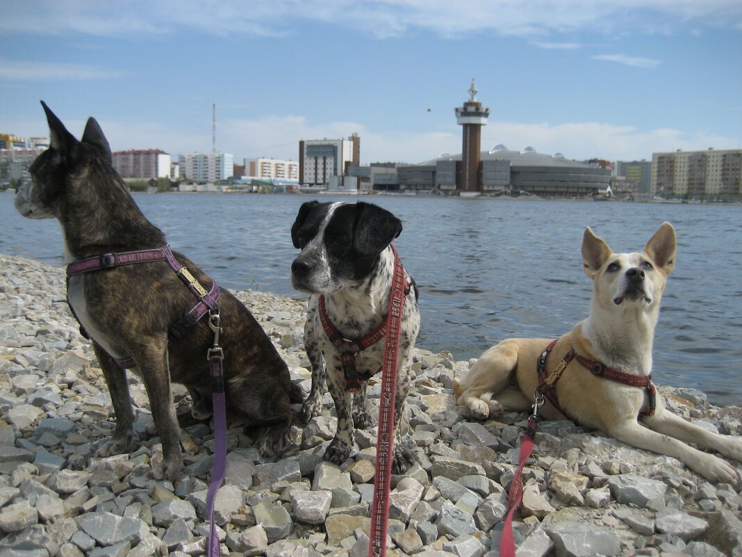 Лето - Anna Ivanova