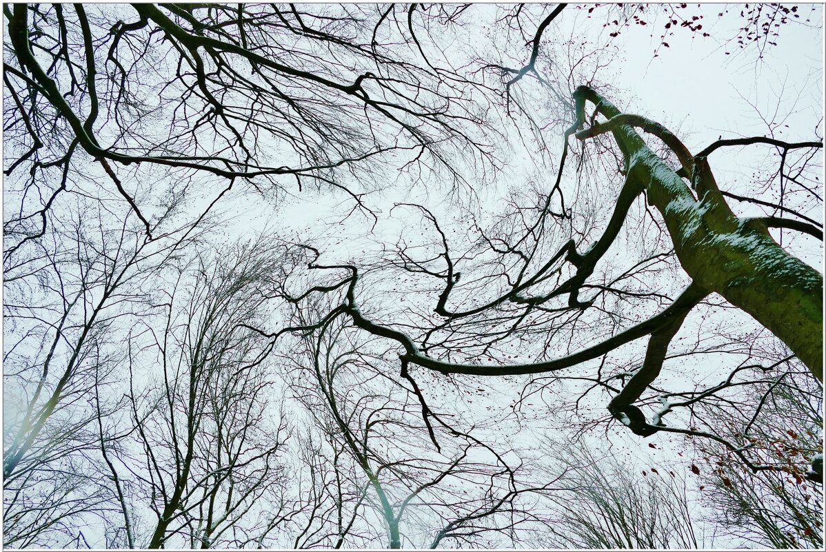 РЕПЕТИЦИЯ... - Elvira E. РЕПЕТИЦИЯ... - Elvira E.