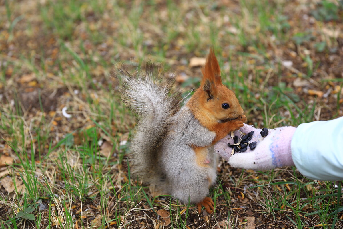 * - Евгений +