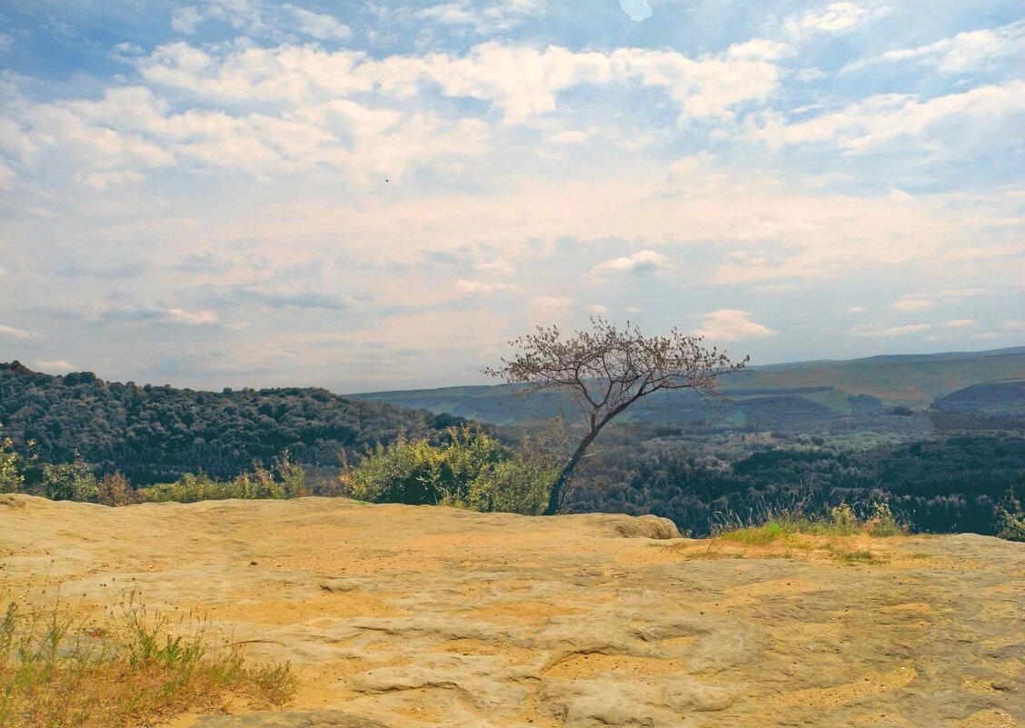 Июль - Мария - Maria Июль - Мария - Maria