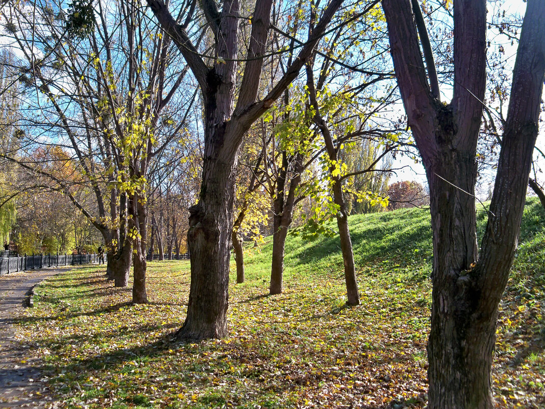 Осеннее настроение - Валентин Семчишин