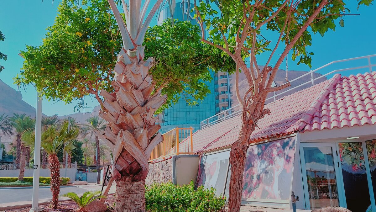 12  КЛОС (472) - CLOSE WAYS ALL