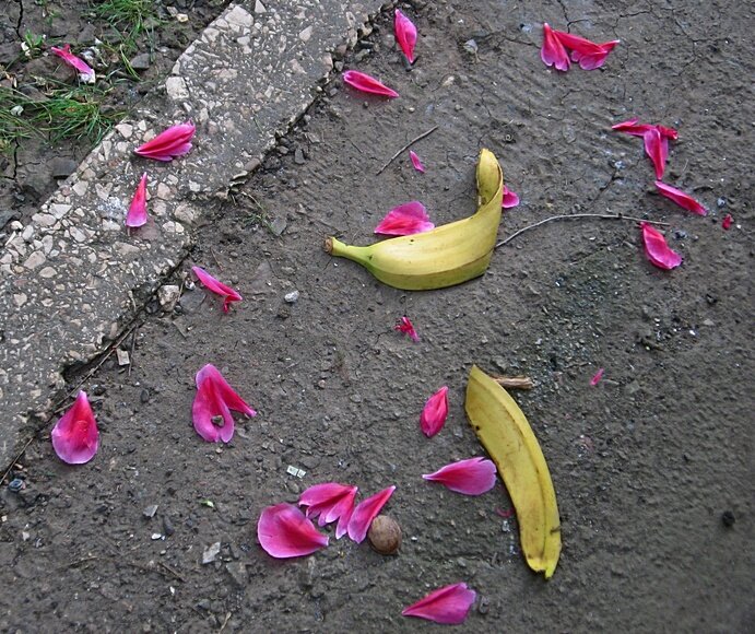 . - Александр Хоменко