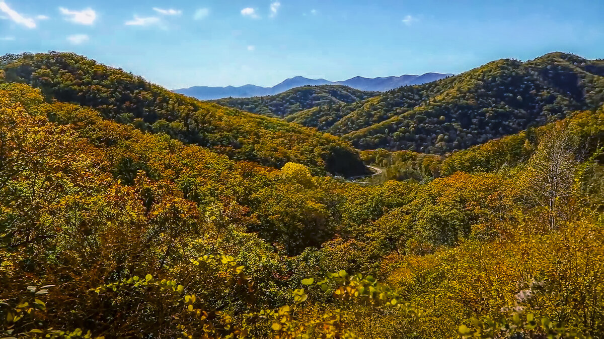 Лазовский заповедник. Бухта Петрова. - Aleksey Afonin Лазовский заповедник. Бухта Петрова. - Aleksey Afonin