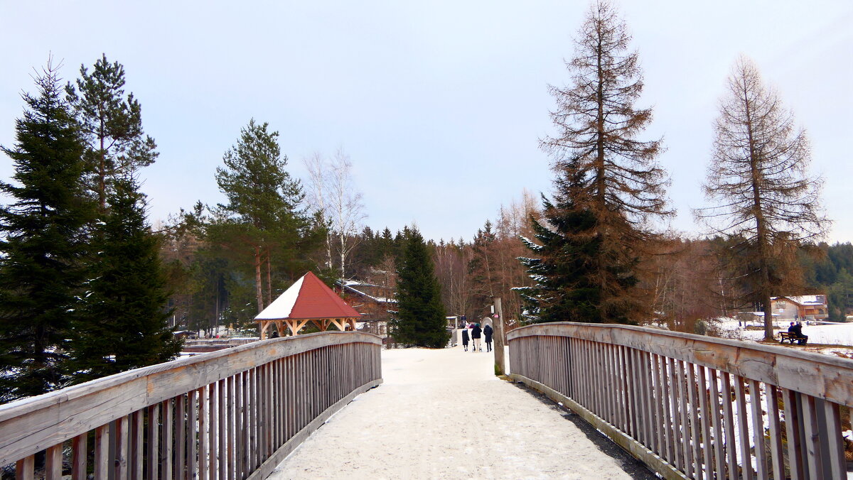 ... - "The Natural World" Александер ... - "The Natural World" Александер