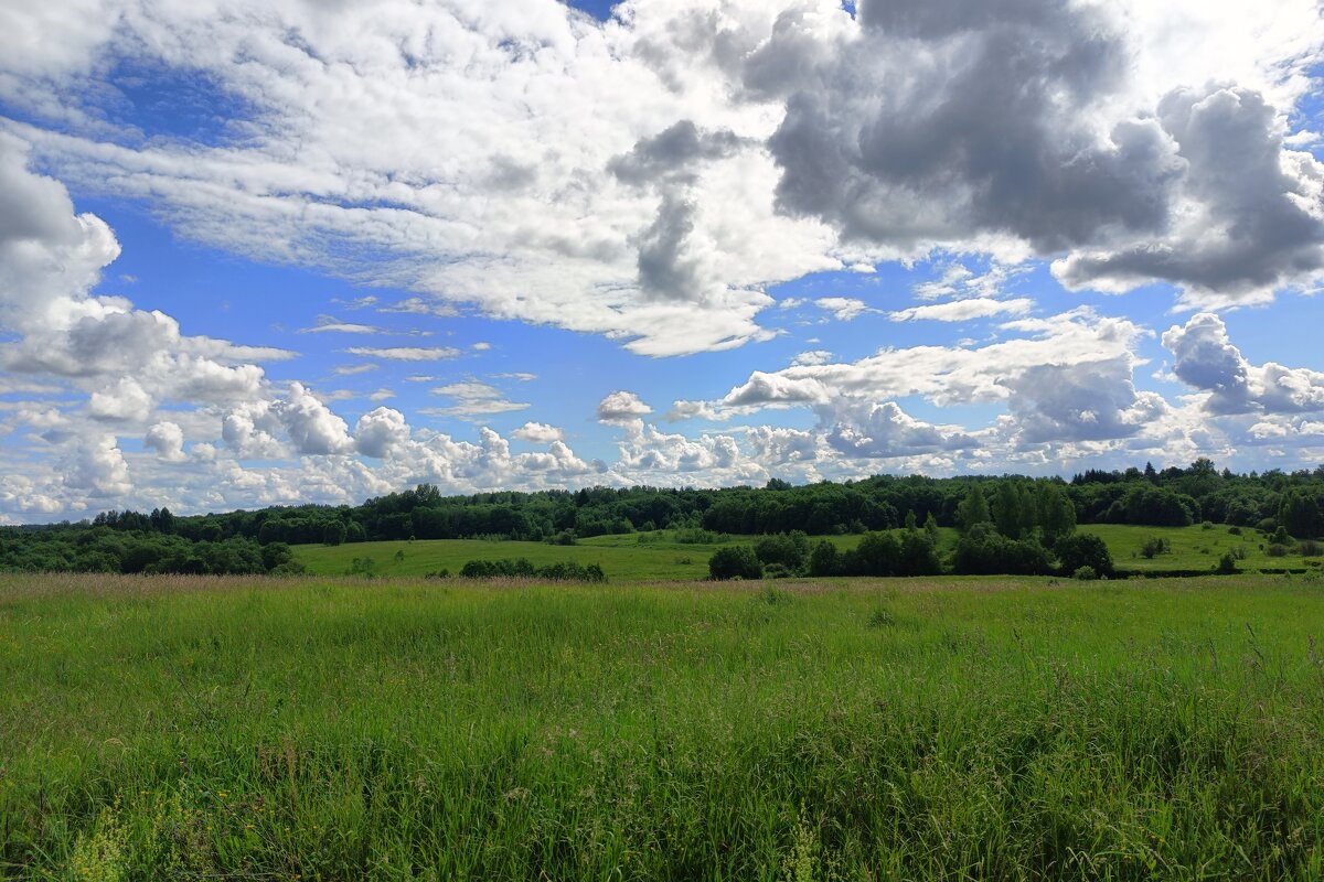Вид на Полонку - Артем 