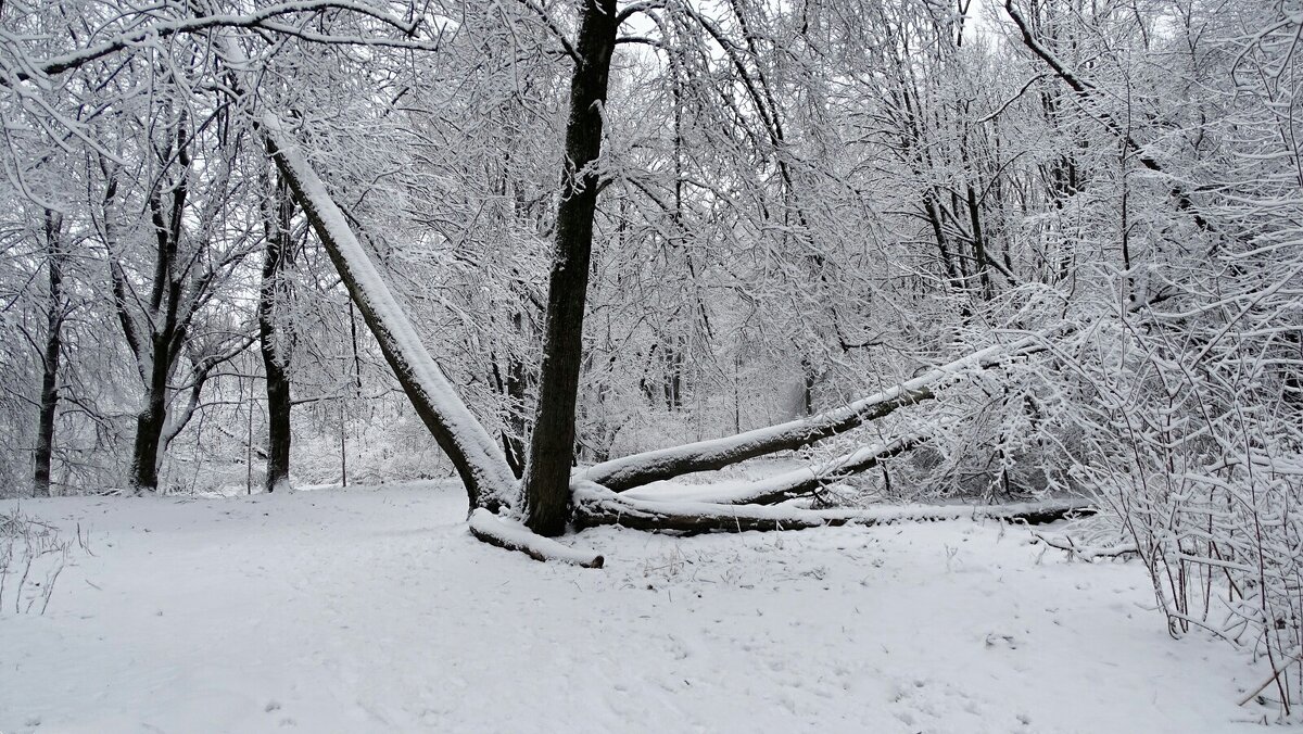 Про минувший январь - Милешкин Владимир Алексеевич Про минувший январь - Милешкин Владимир Алексеевич