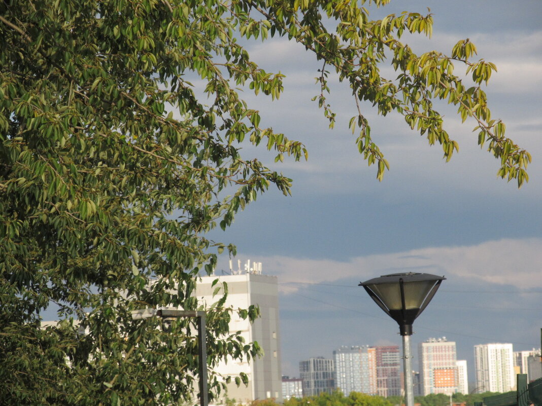 ПРО Екатеринбург - Елена Шаламова ПРО Екатеринбург - Елена Шаламова