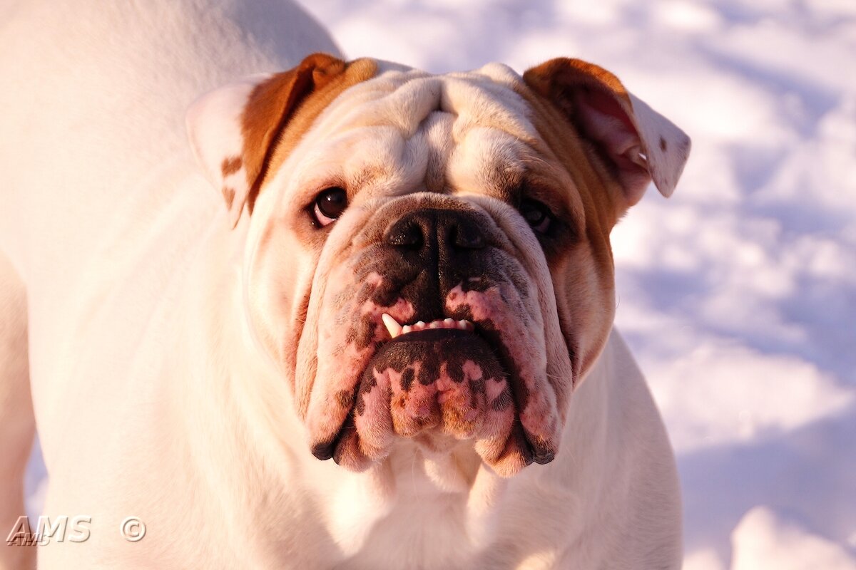 !!!!! - kolyeretka !!!!! - kolyeretka