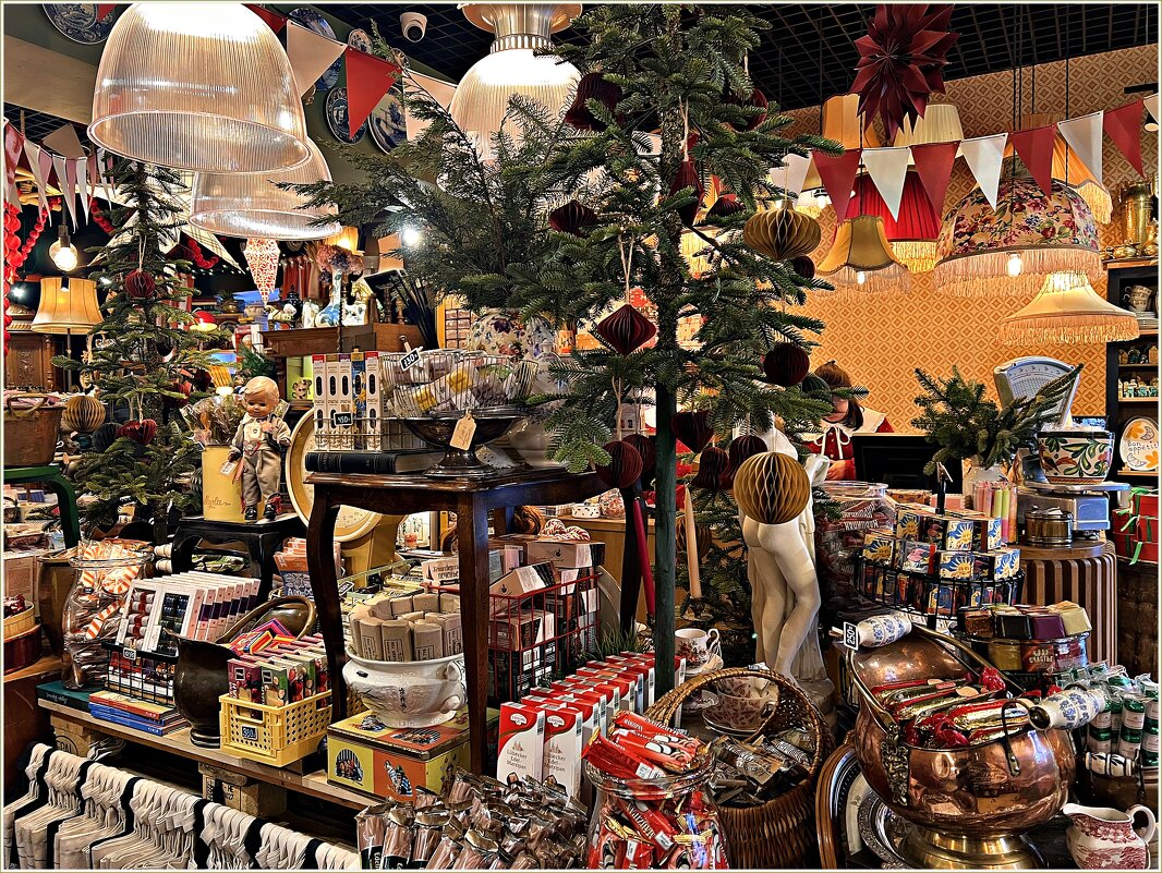 В магазине Барахольщик. - Валерия Комова