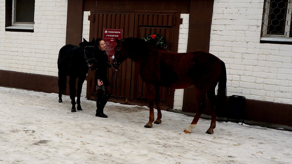 Смотрины - Вячеслав Макшанов
