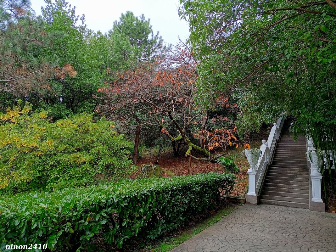 Адлер. Дендропарк "Южные культуры" - Нина Бутко Адлер. Дендропарк "Южные культуры" - Нина Бутко