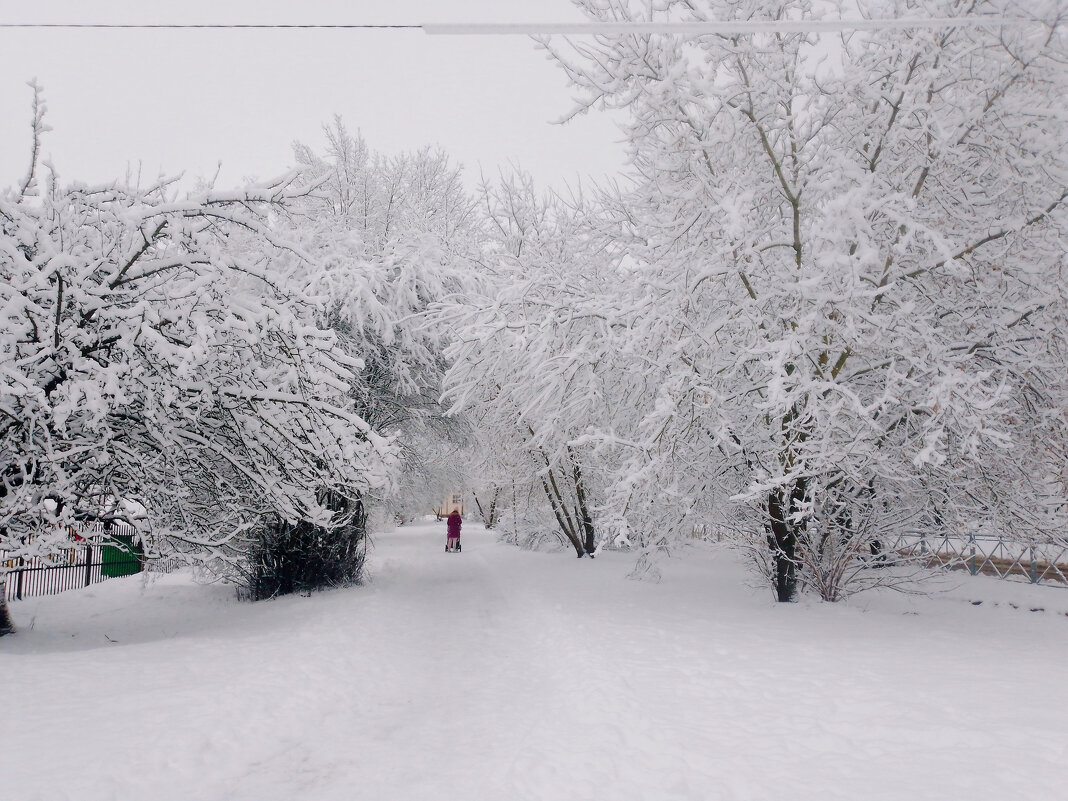 Зимнии алеи - Сергей Кочнев