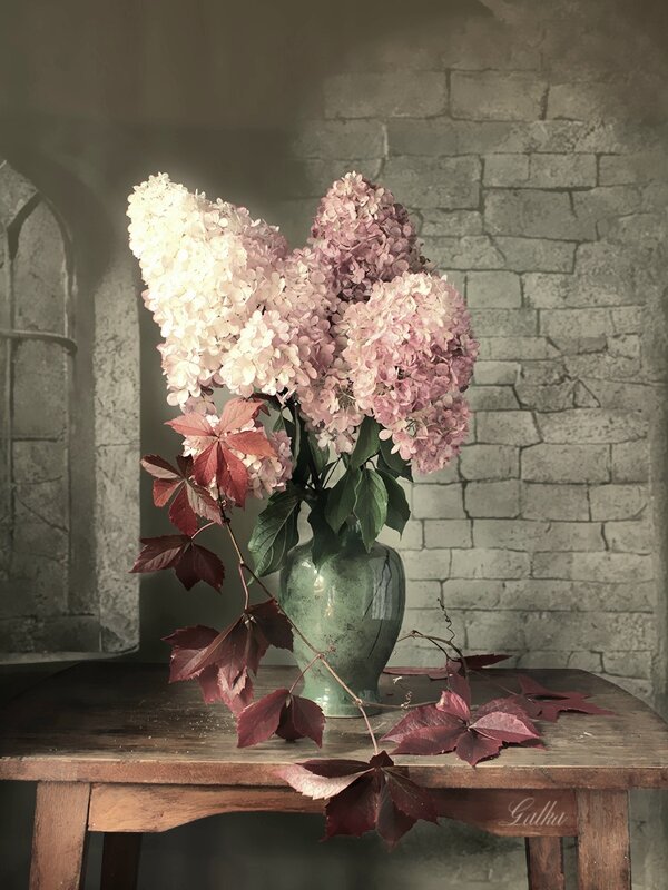 Гортензии - Galka 