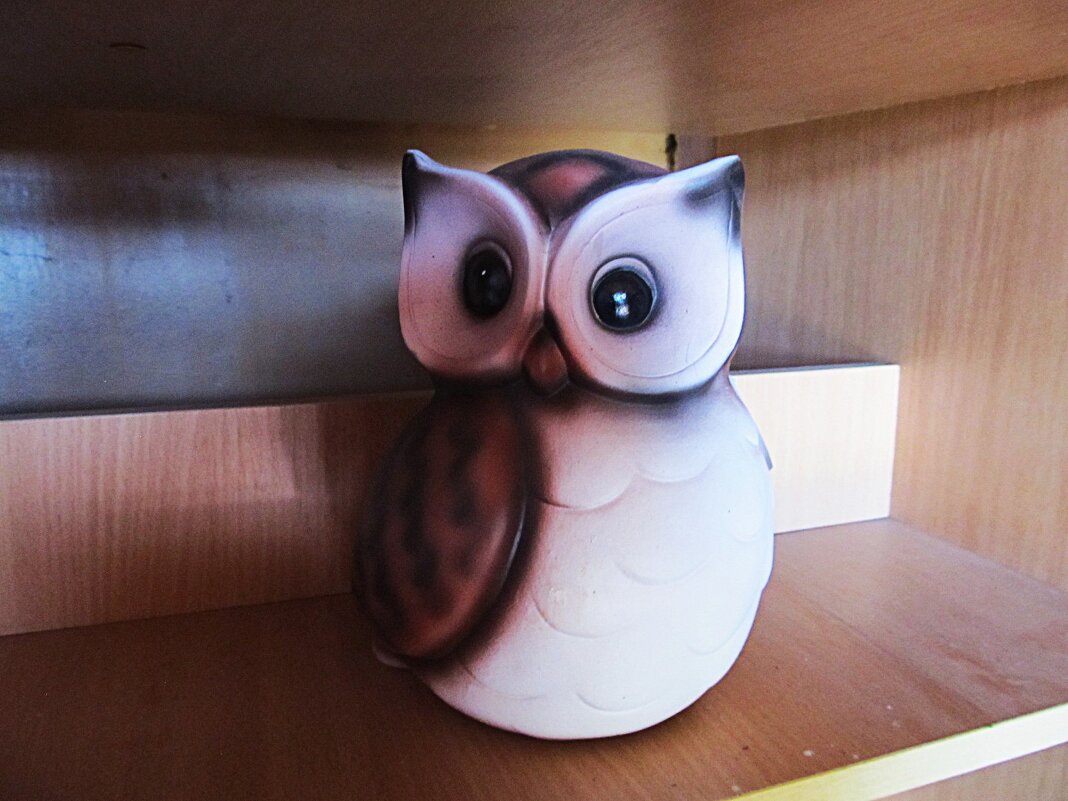 Жизнь на полке - Елена Шаламова