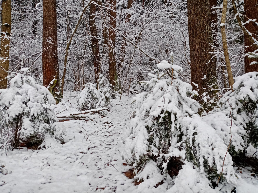 .. - оксана .. - оксана