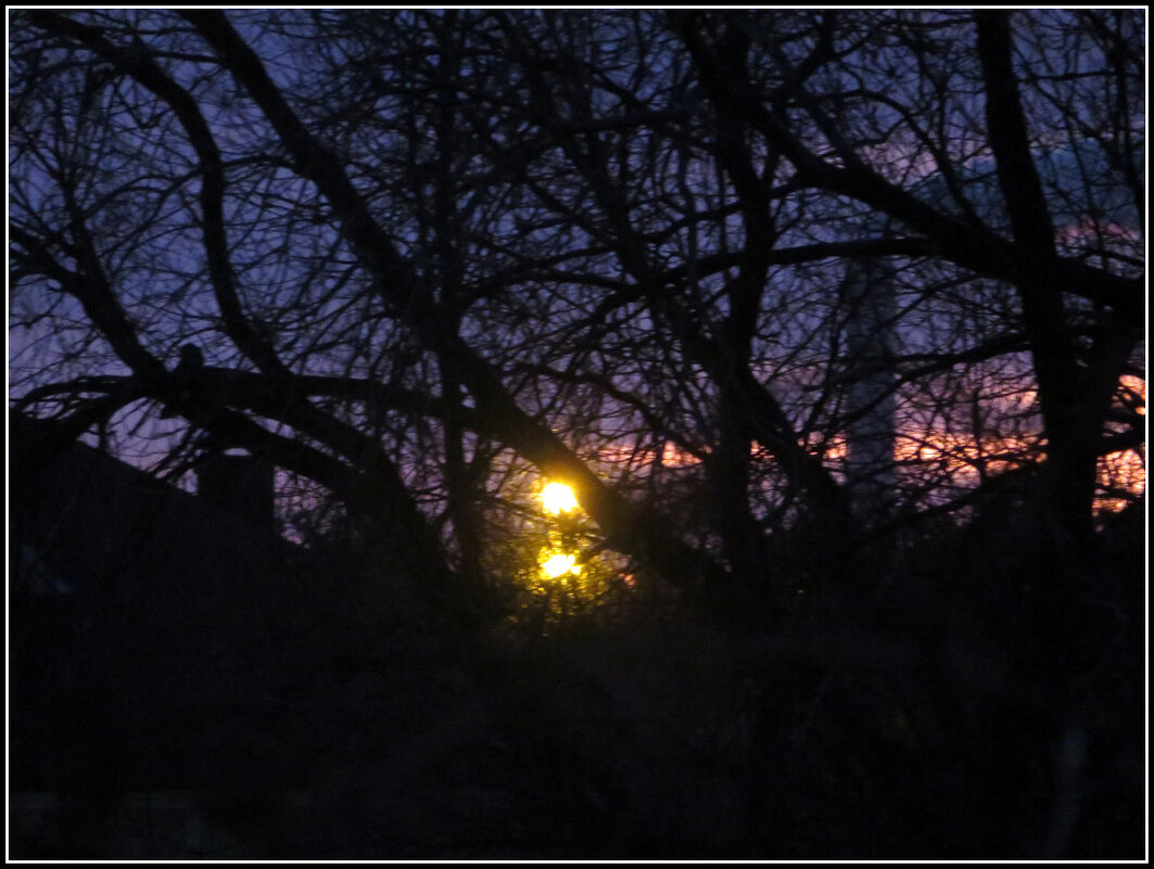 "Предрассветный сон мерчендайзера". - Егор Бабанов