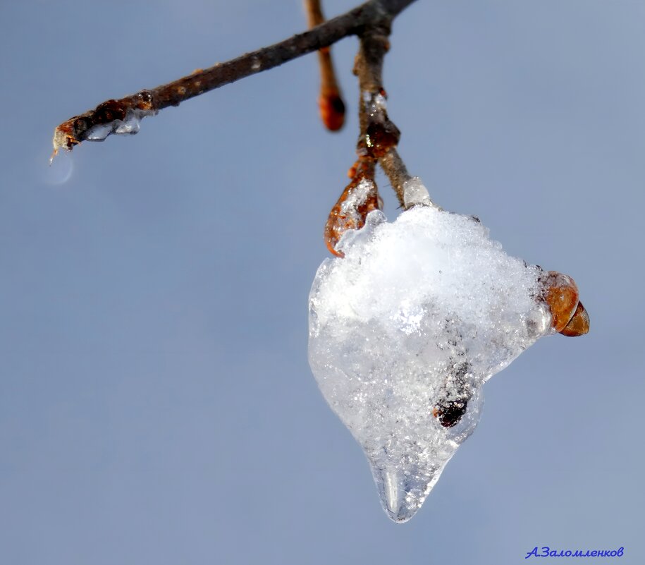 Этюды начала февраля.. - Андрей Заломленков Этюды начала февраля.. - Андрей Заломленков