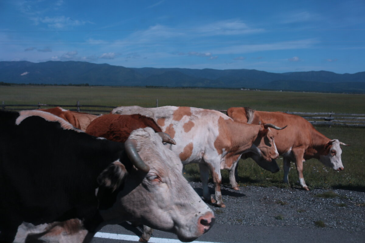Попутчицы - Ольга Попутчицы - Ольга