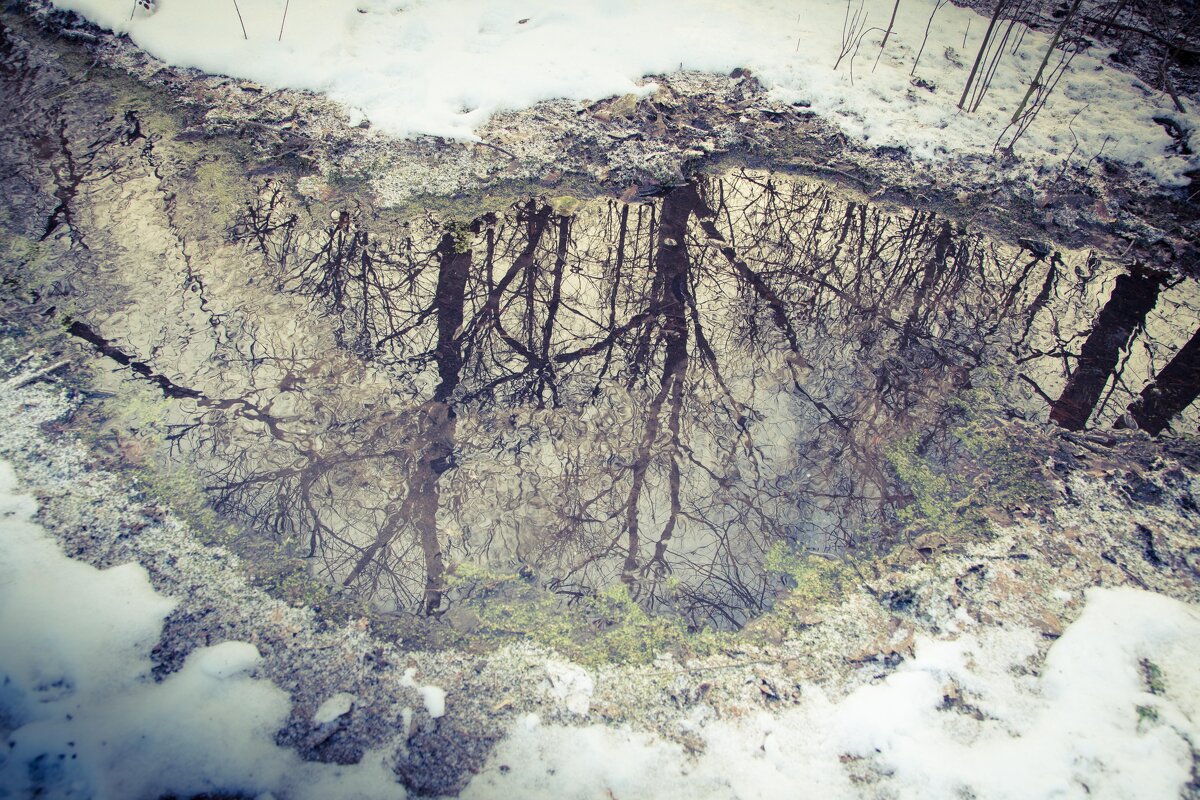 Из серии "Отражения" - Вячеслав Владимирович