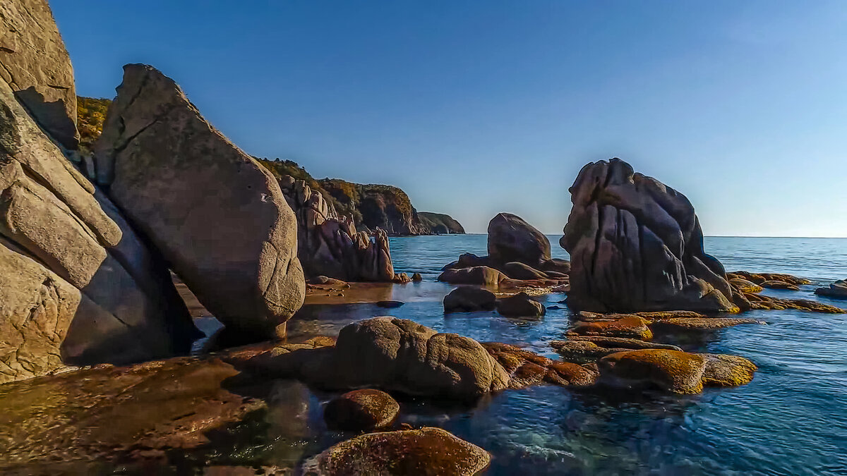 Лазовский заповедник. - Aleksey Afonin Лазовский заповедник. - Aleksey Afonin