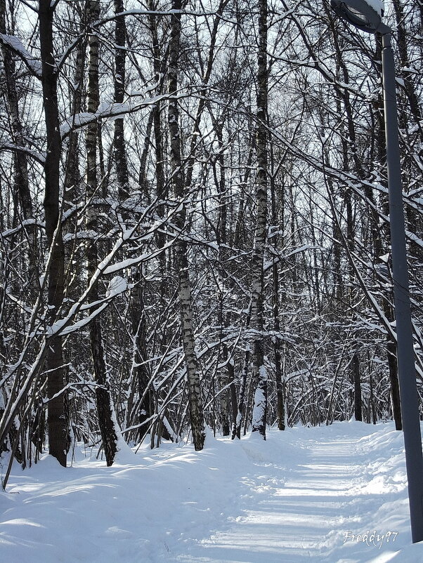 По тропинке... - Freddy 97