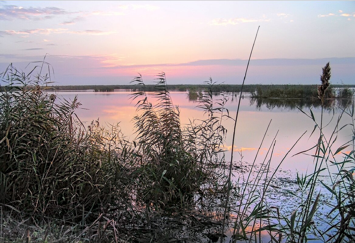 Каспий - Andy Каспий - Andy