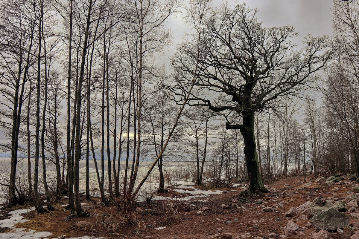 Дубки - skijumper Иванов Дубки - skijumper Иванов