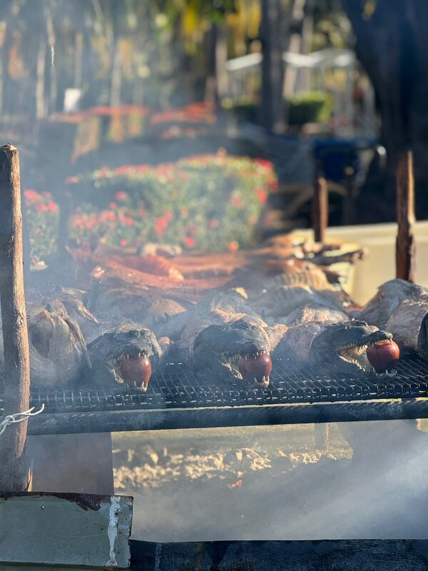 Крокодил - Александра Николаева