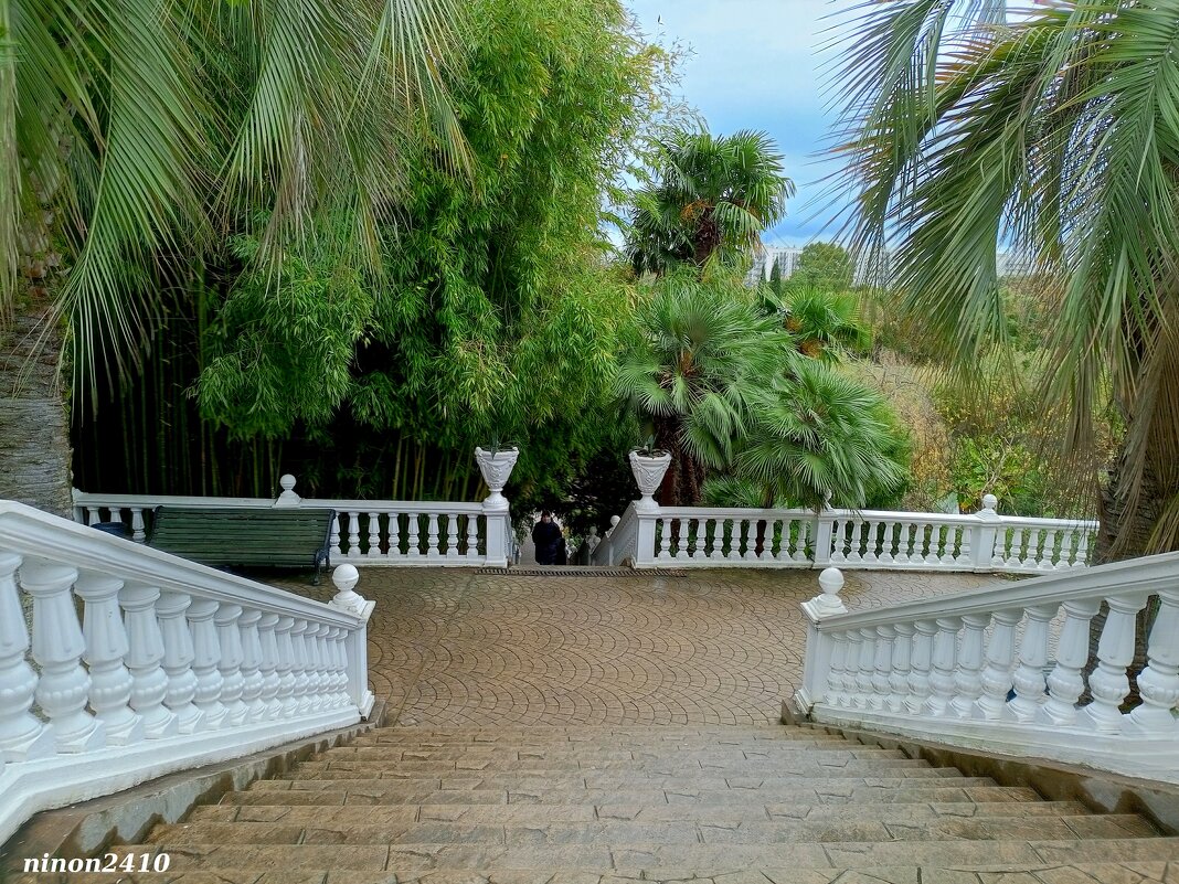 Адлер. Дендропарк "Южные культуры" - Нина Бутко