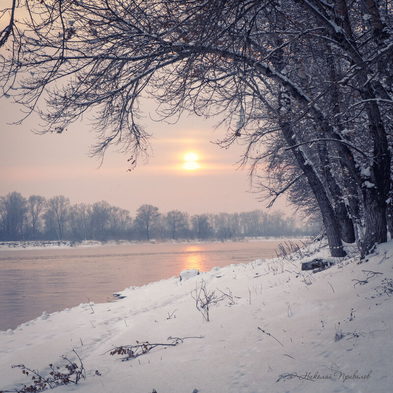 Зимним берегом реки. - Николай Привалов Зимним берегом реки. - Николай Привалов