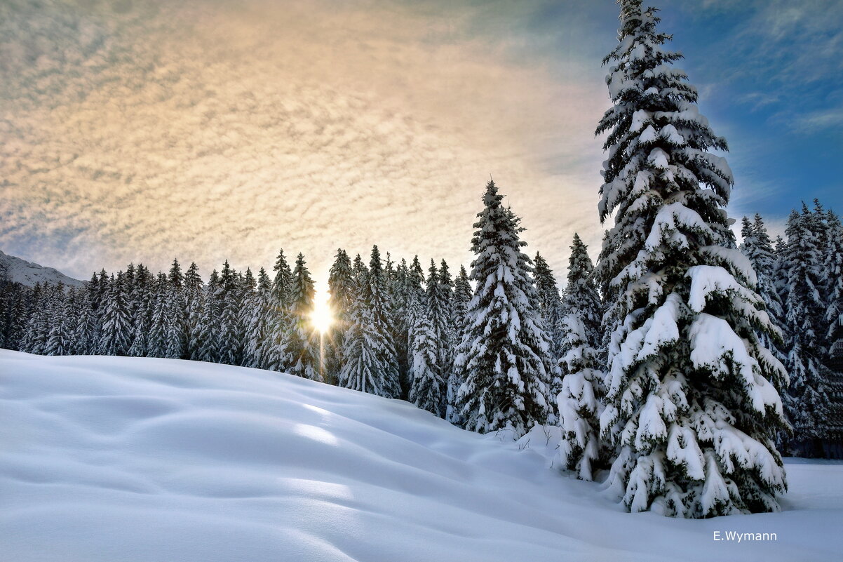 winter view - Elena Wymann winter view - Elena Wymann