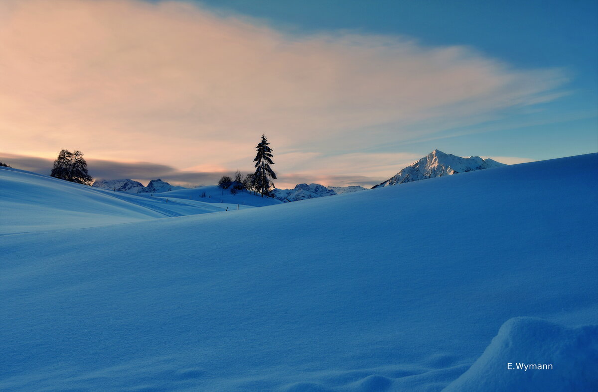 winter morning - Elena Wymann winter morning - Elena Wymann