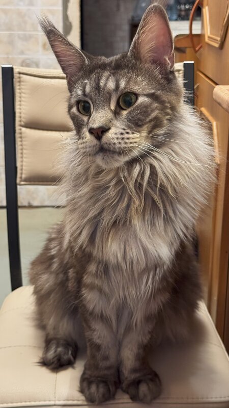 *** - Евгений С