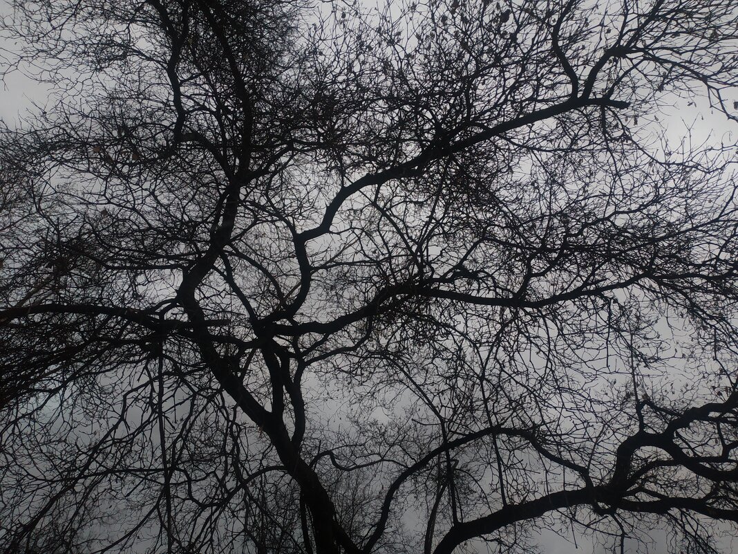 Как же всё сложно в жизни! - Андрей Лукьянов Как же всё сложно в жизни! - Андрей Лукьянов