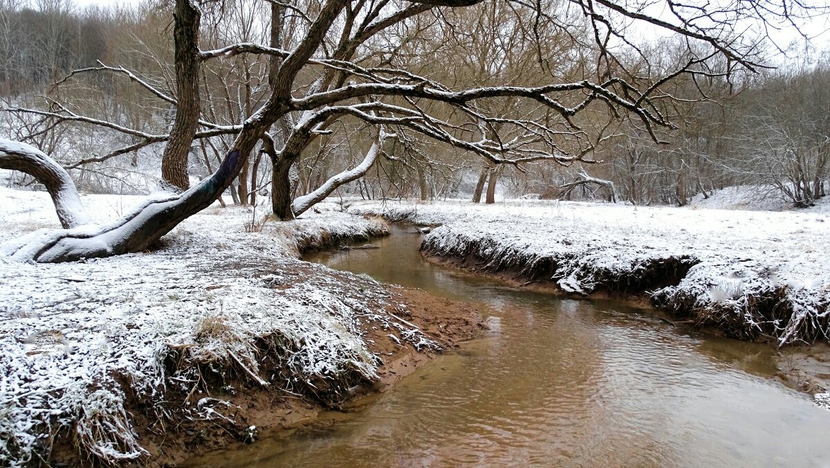 Ручей городского парка. - Милешкин Владимир Алексеевич Ручей городского парка. - Милешкин Владимир Алексеевич