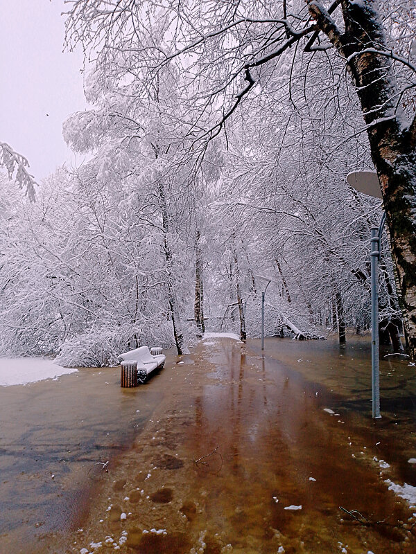Затопленный парк - Сергей Кочнев