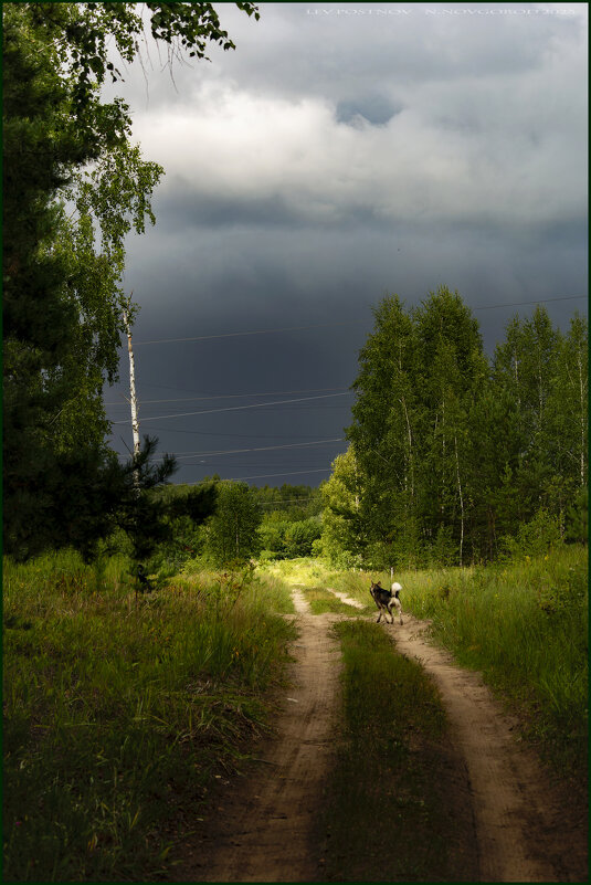 Перед дождем. - leff Postnov Перед дождем. - leff Postnov