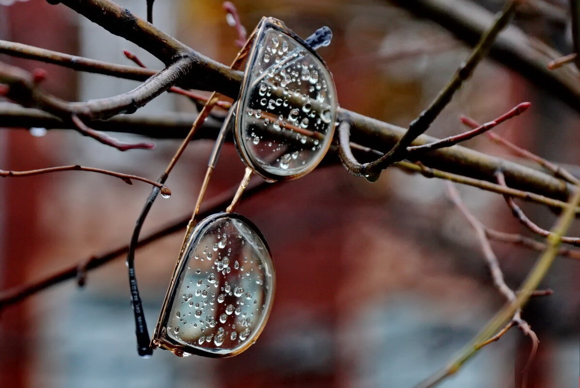 Потеря... - Николай Саржанов Потеря... - Николай Саржанов