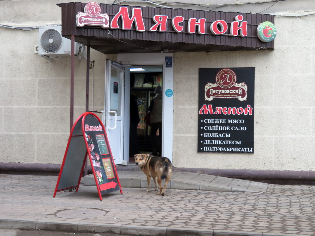 А вам тоже хочется мясца? - Егор Бабанов А вам тоже хочется мясца? - Егор Бабанов