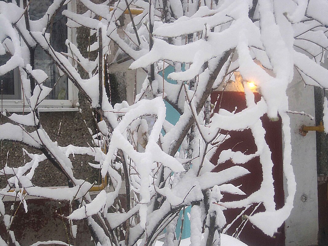 Это было зимой - Елена Семигина